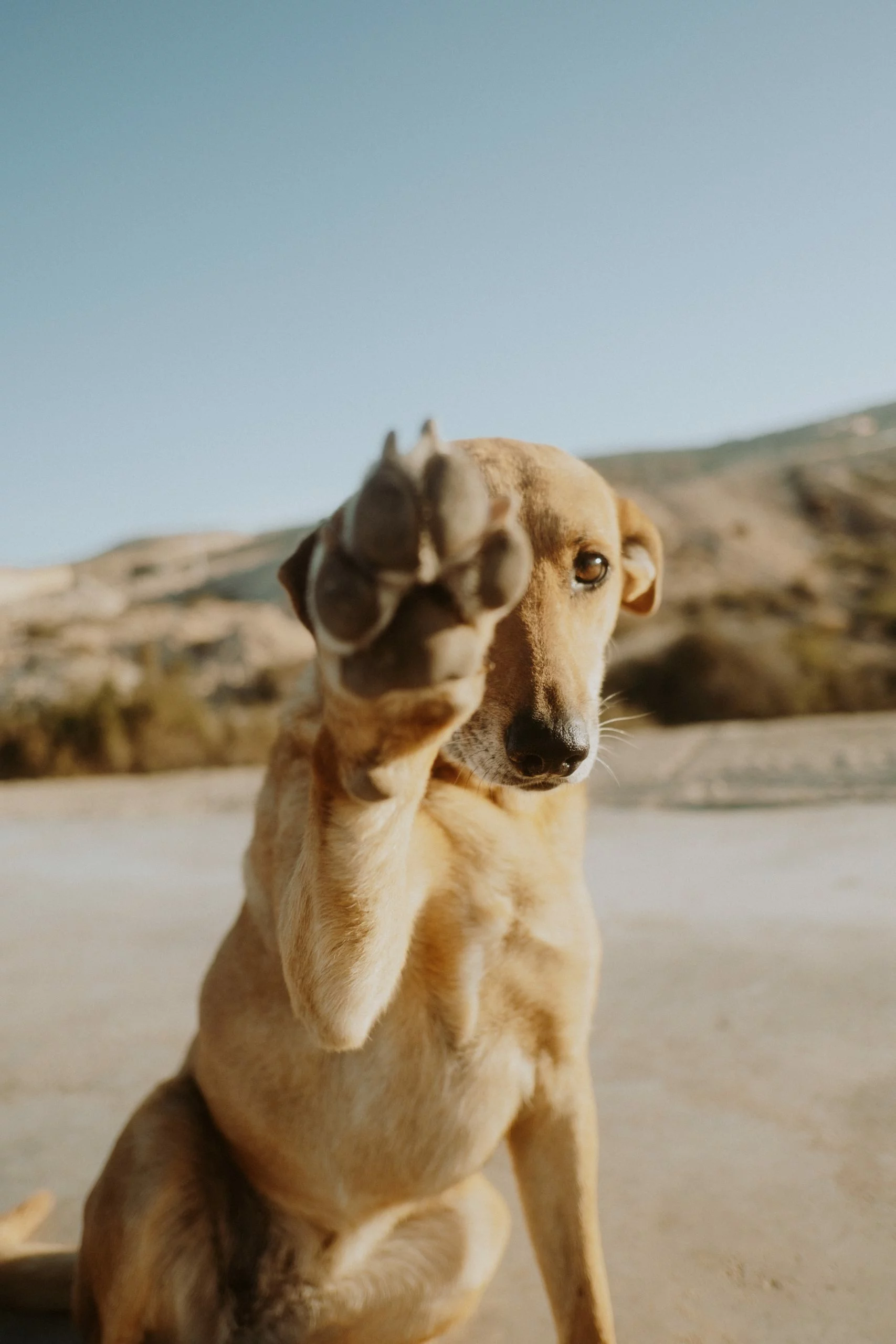 zdjęcie autora opinii